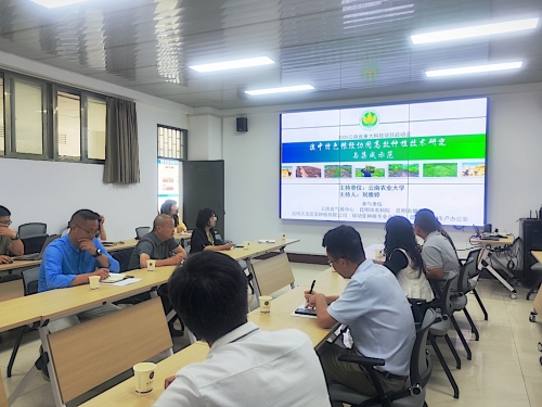 粮经协同项目启动_副本 粮经协同项目启动_副本