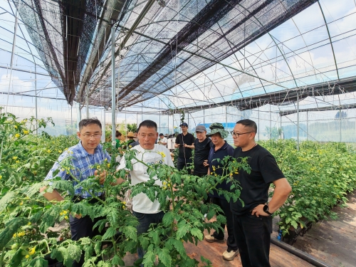 微信图片_20250718092302