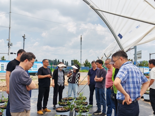 微信图片_20250718092247