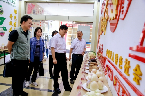 微信图片_20250801161512 微信图片_20250801161512