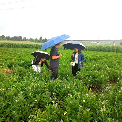 a5088bcd5f43f986a0829d1c7b1b6cc a5088bcd5f43f986a0829d1c7b1b6cc