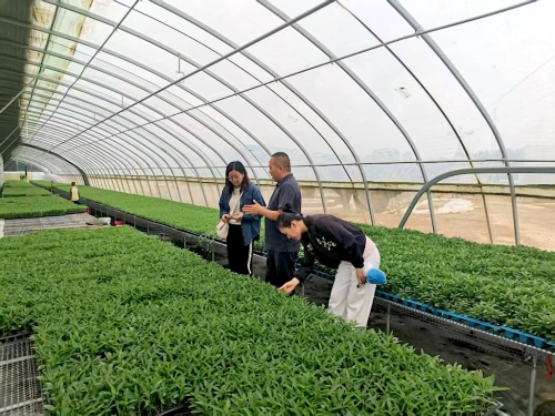 58095eef0ff400bb3129019f174e3de 58095eef0ff400bb3129019f174e3de