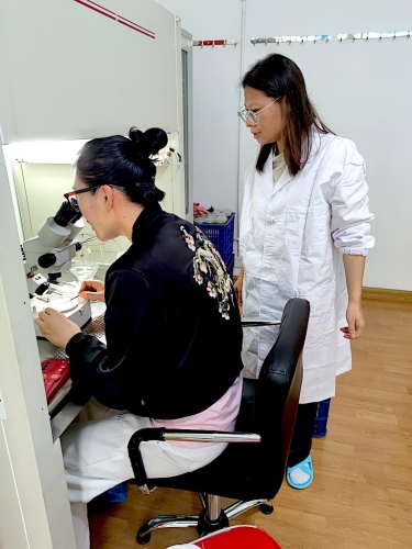 11c35d371ade75d4d006236db58d05e 11c35d371ade75d4d006236db58d05e